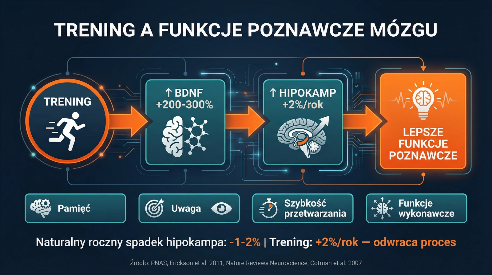 Trening a funkcje poznawcze mózgu